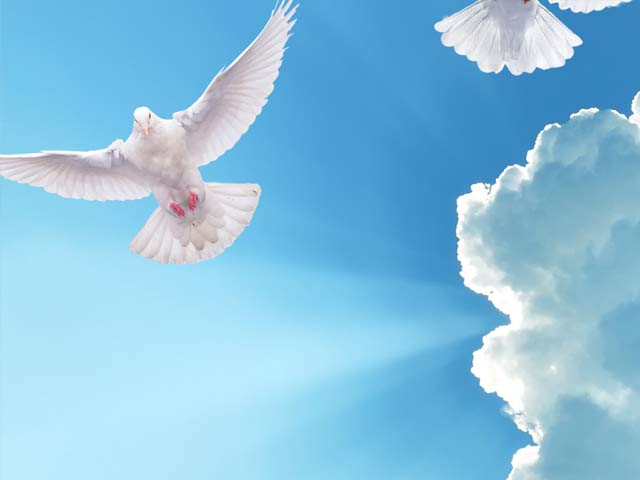 beliefs-2